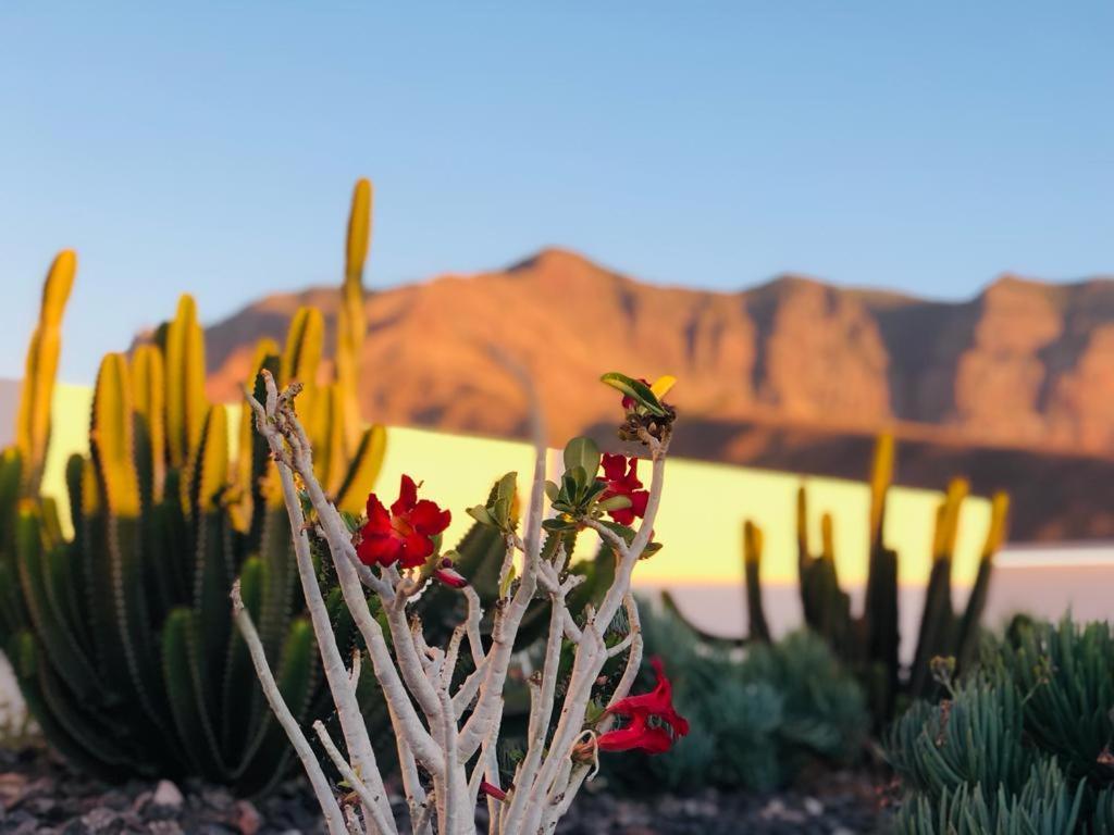 Paraisos De Agaete Puerto de las Nieves エクステリア 写真
