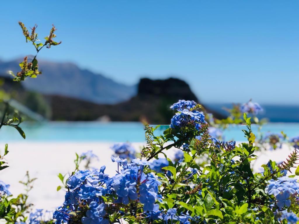 Paraisos De Agaete Puerto de las Nieves エクステリア 写真